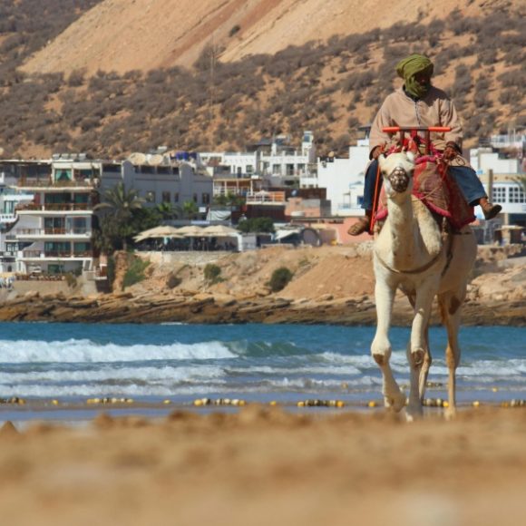 Taghazout Camel Ride