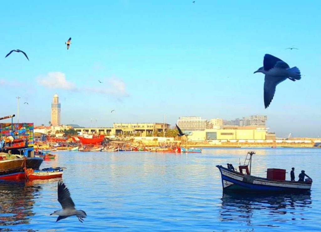 Casa Port Morocco