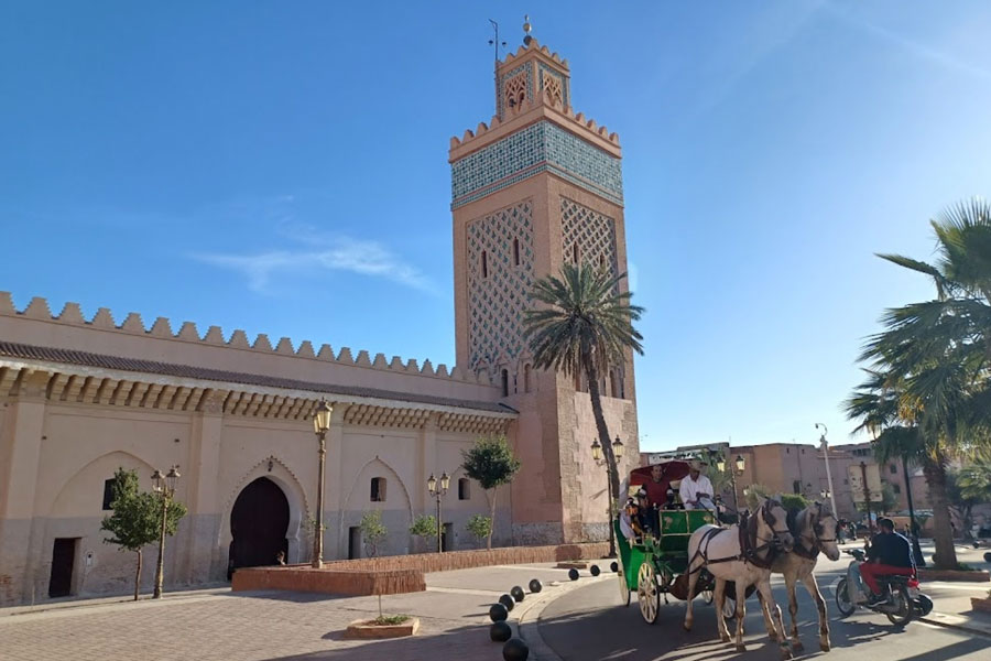 Casablanca to Marrakech Day Trip