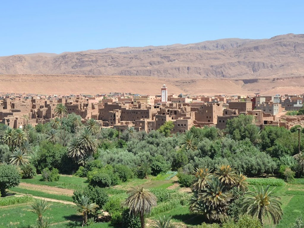Desert Tour from Fez