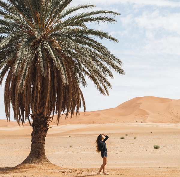 10 Days Desert Tour From Casablanca