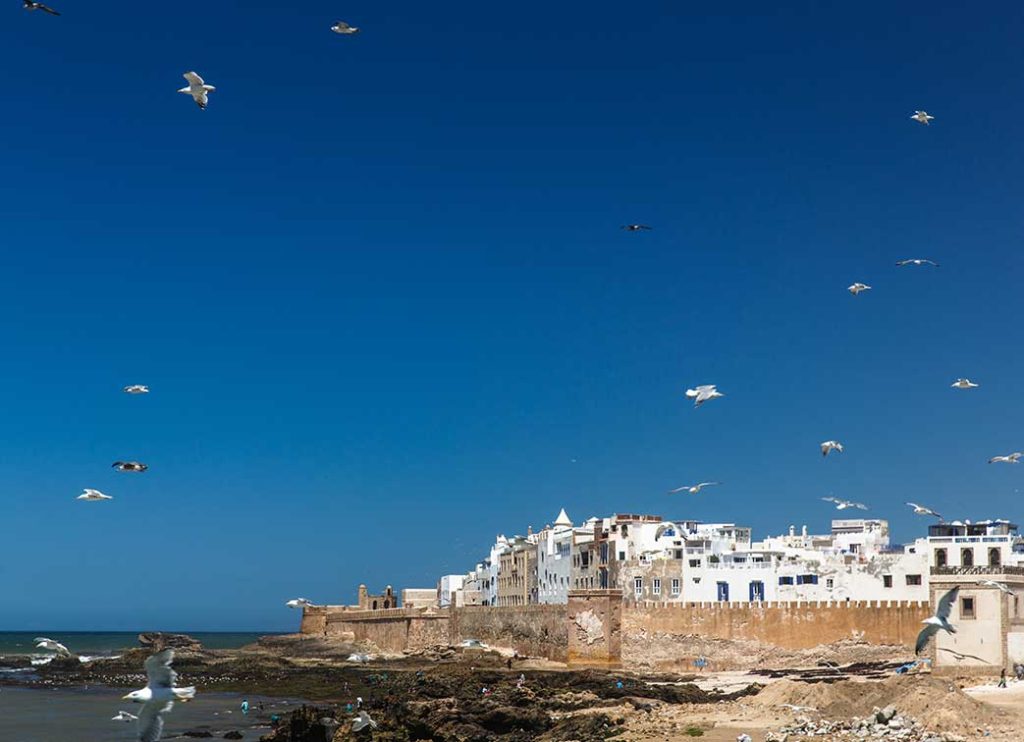 14 Days Tour From Casablanca Essaouira