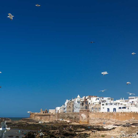 14 Days Tour From Casablanca Essaouira