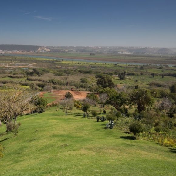 Rabat Landscape